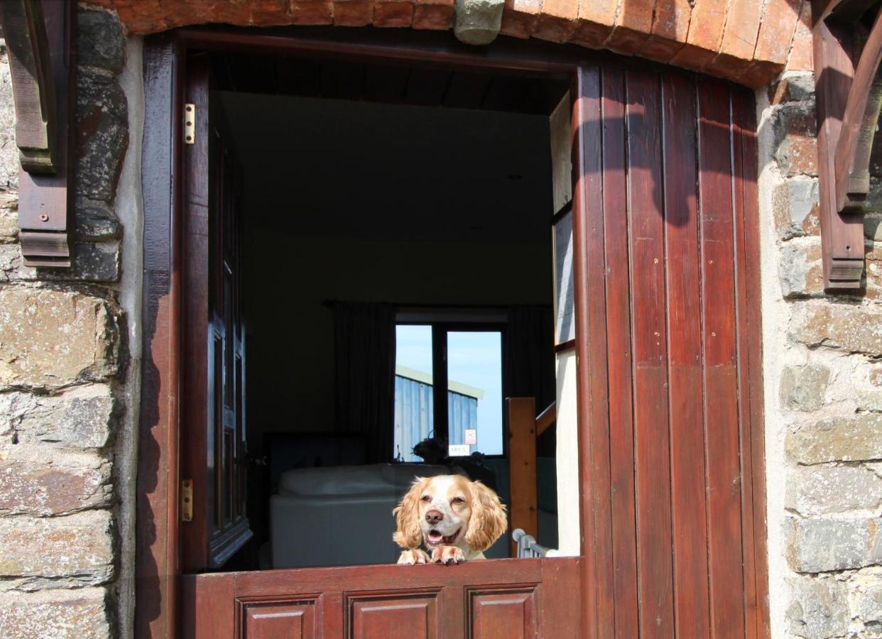 Houndapitt Cottages Bude Buitenkant foto